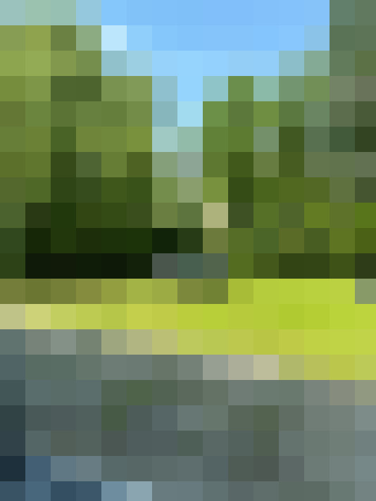  / #7