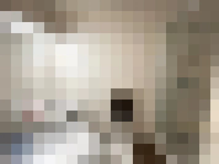  / #14
