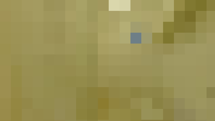  / #3