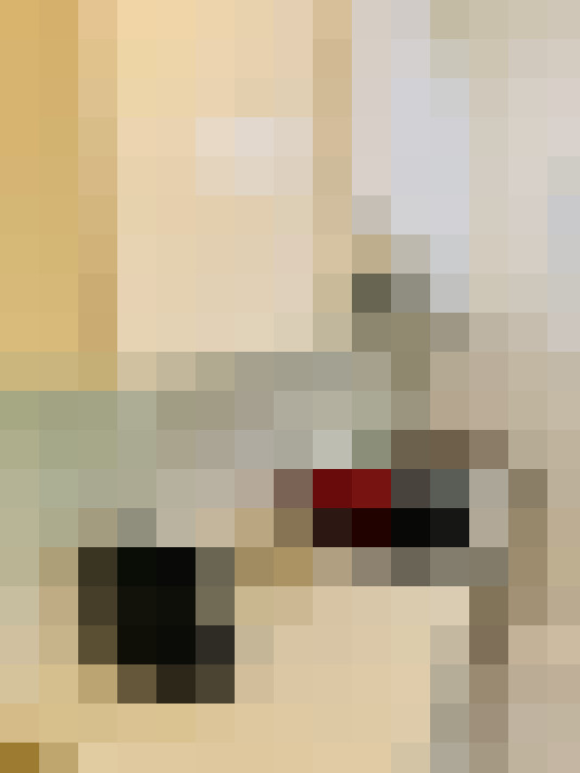 / #11