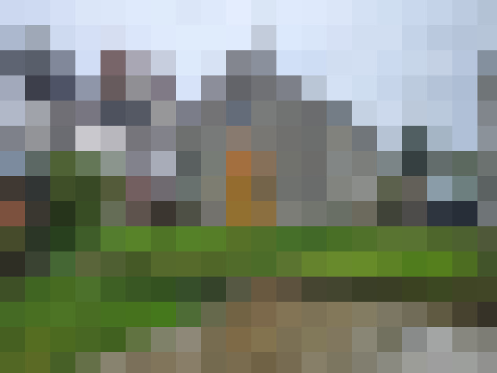  / #7