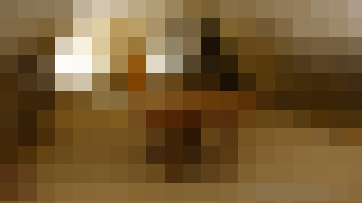  / #15