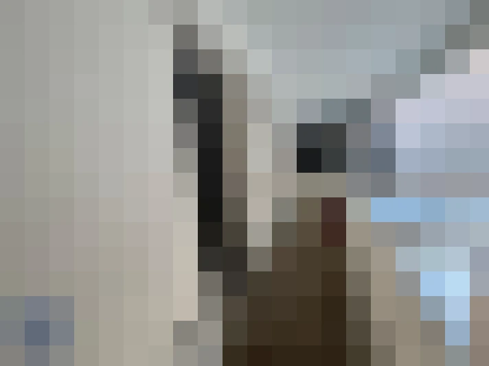  / #8