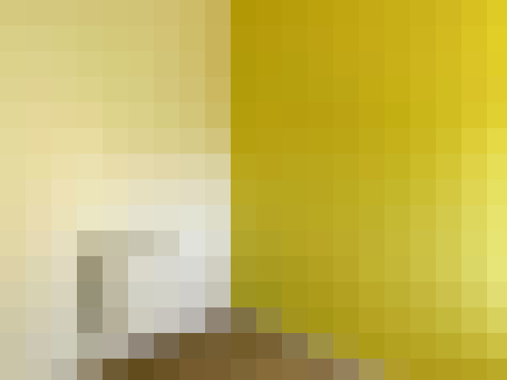  / #15
