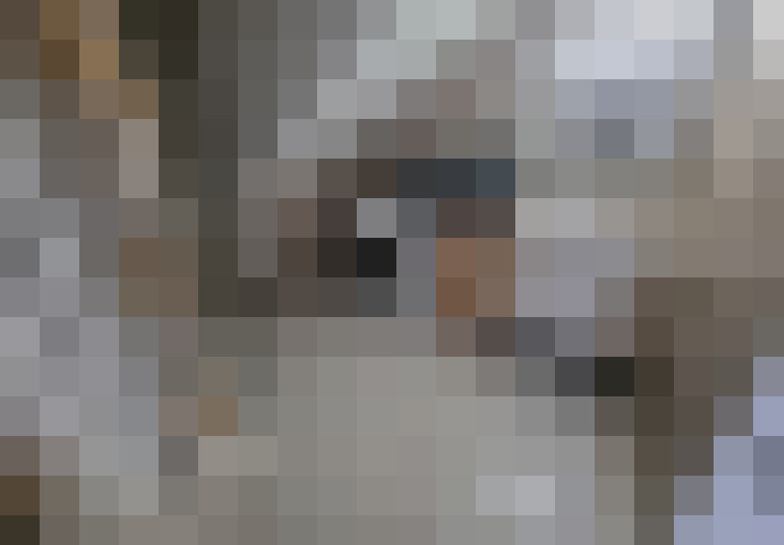  / #7