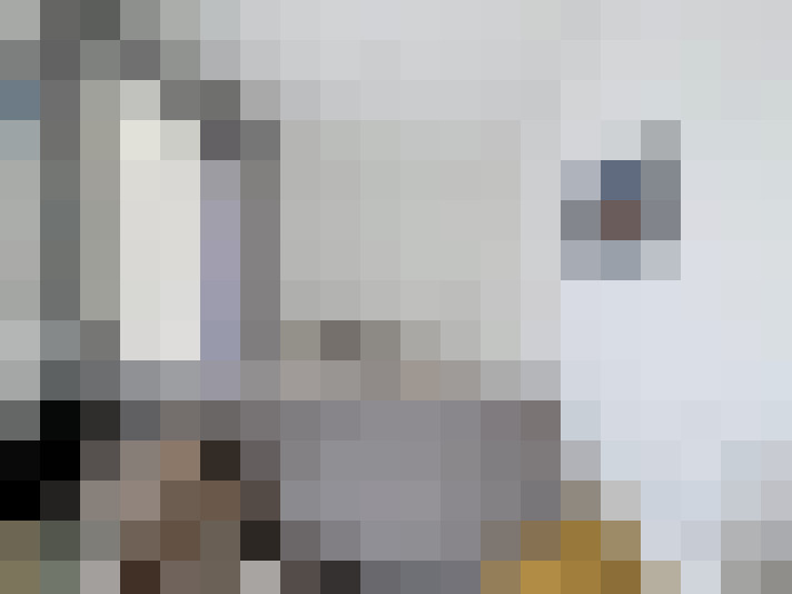  / #11