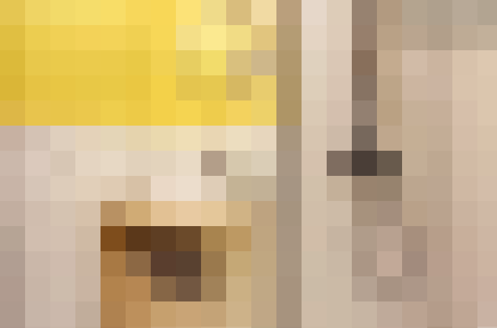  / #17