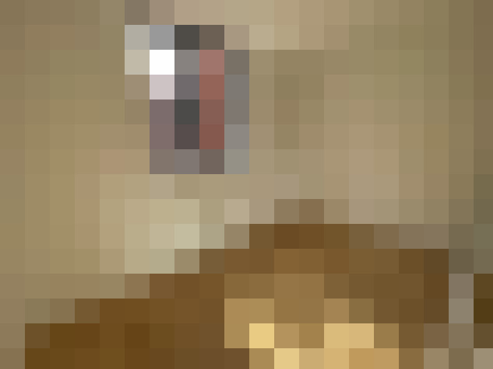  / #6