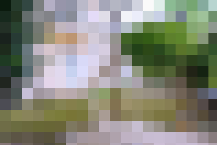  / #16