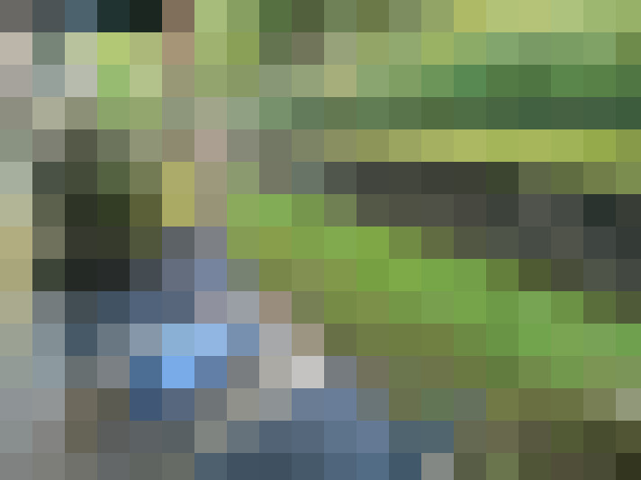  / #13