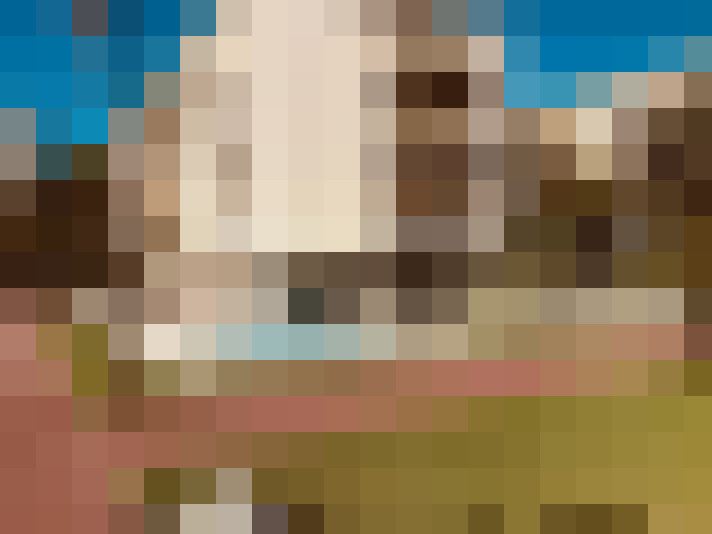  / #17