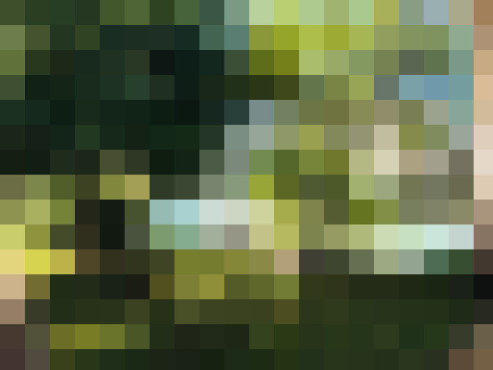 / #16