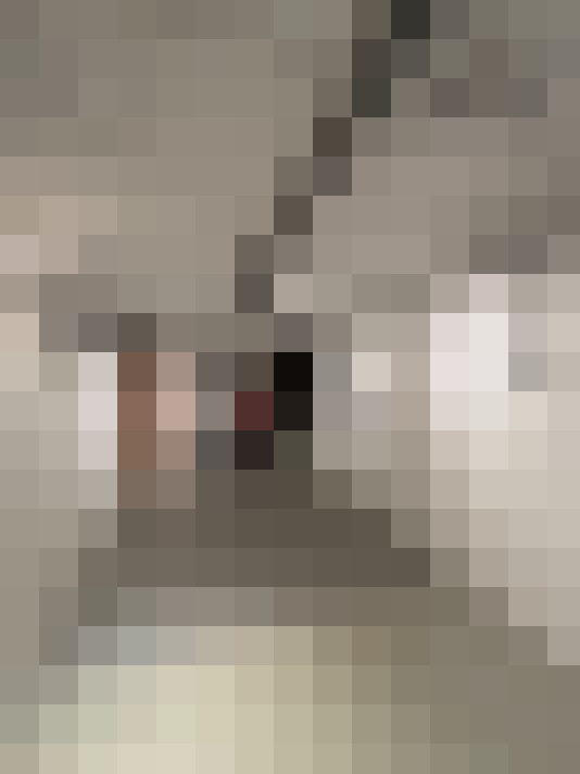  / #8