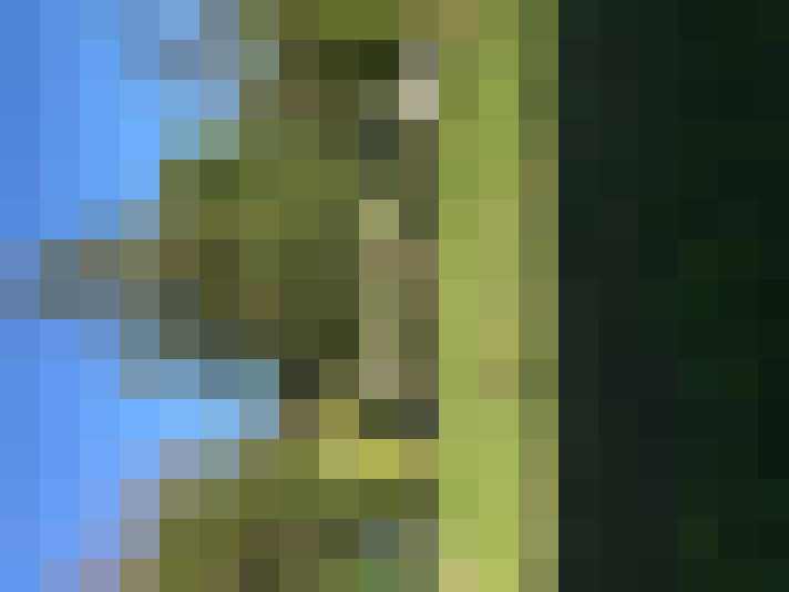  / #9