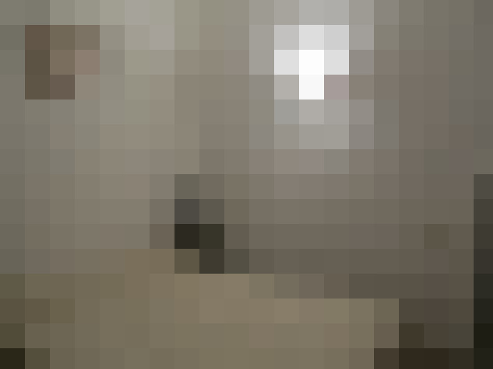  / #8