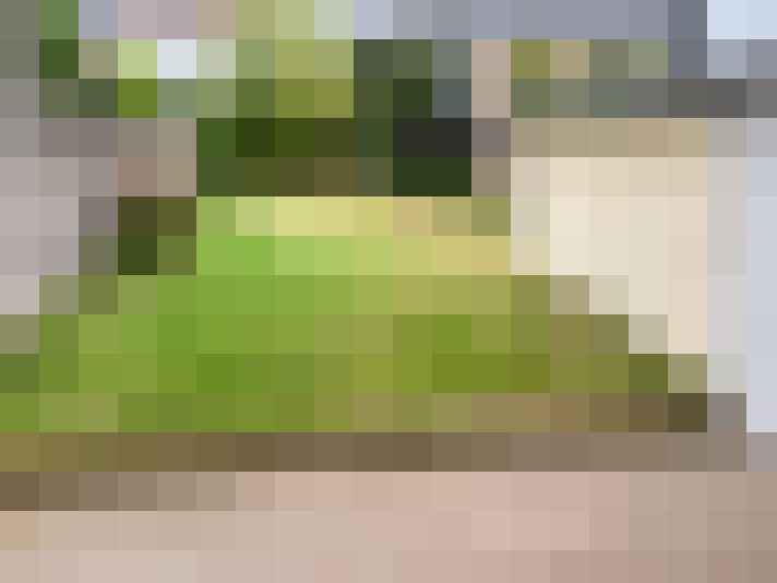  / #16