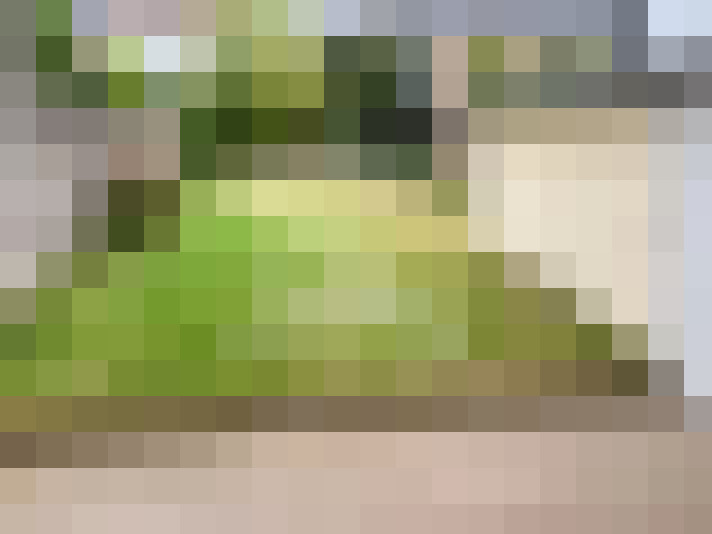  / #15