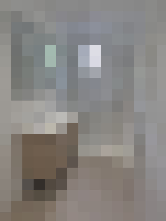  / #8