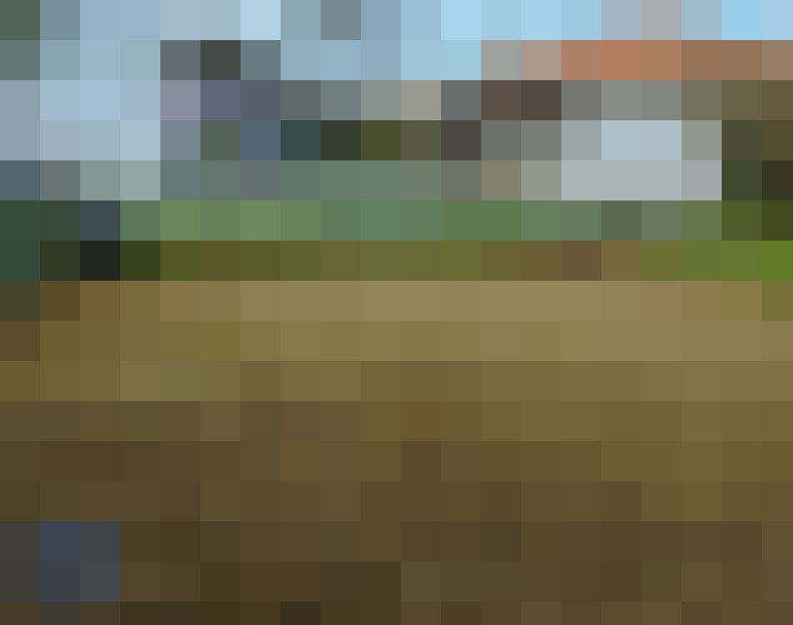 / #7