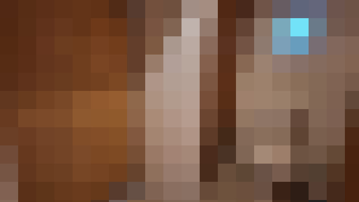  / #17