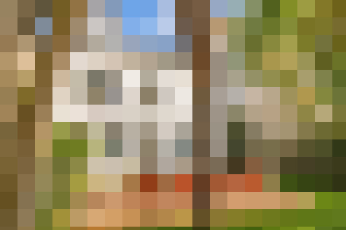  / #15