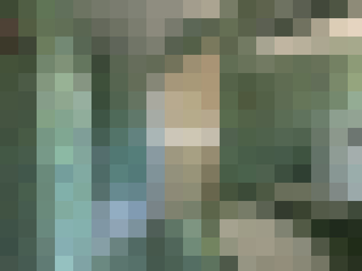  / #19