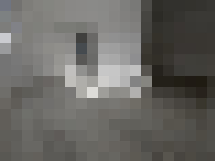  / #12