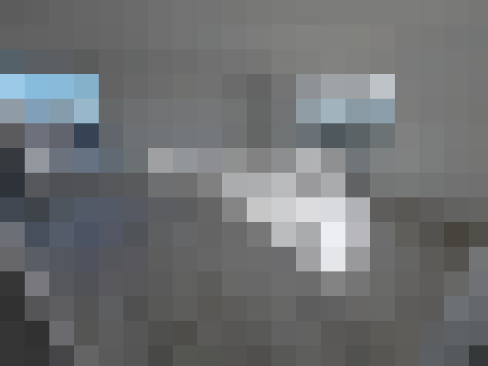  / #15