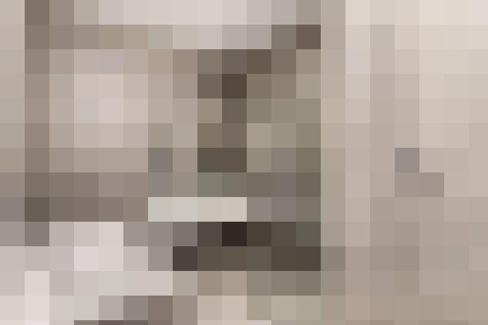  / #15