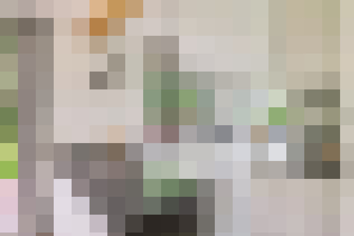  / #21