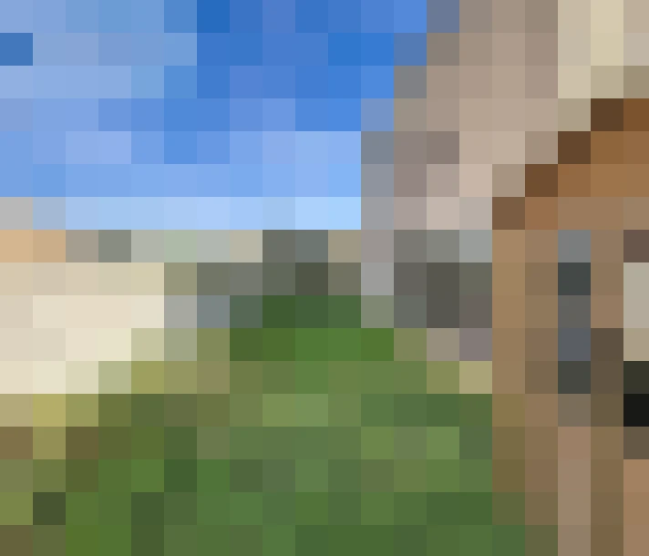  / #16