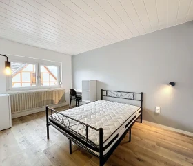 Chambre à Illkirch-Graffenstaden