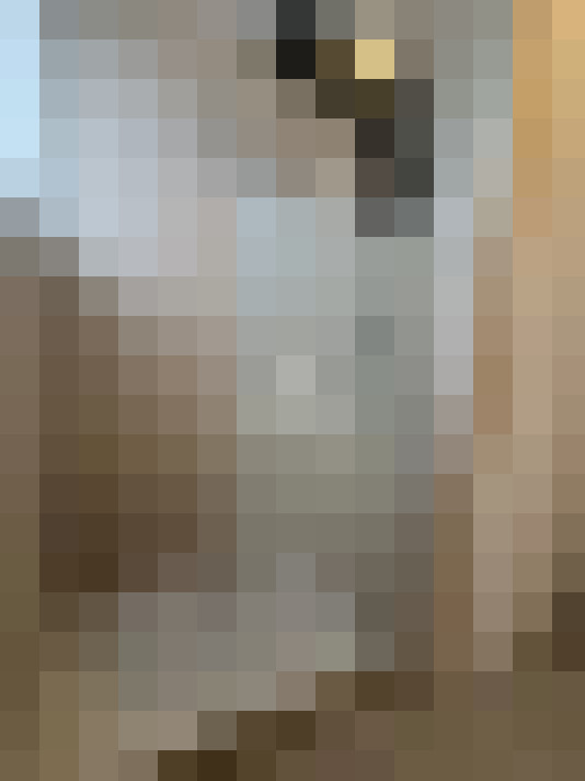  / #14