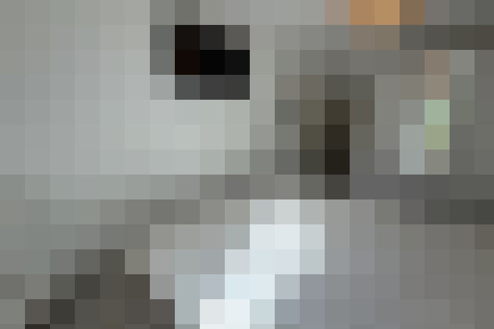  / #15