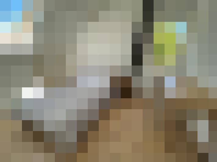  / #8