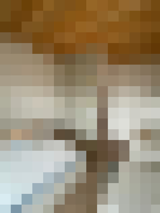  / #12
