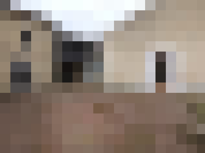 / #11