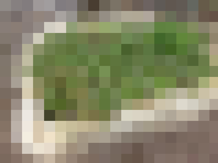  / #13