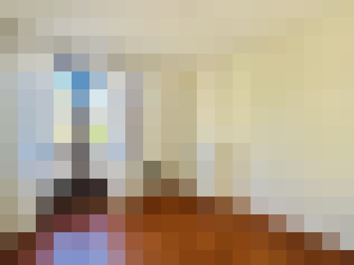  / #14