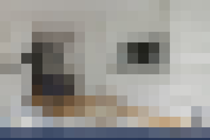  / #4