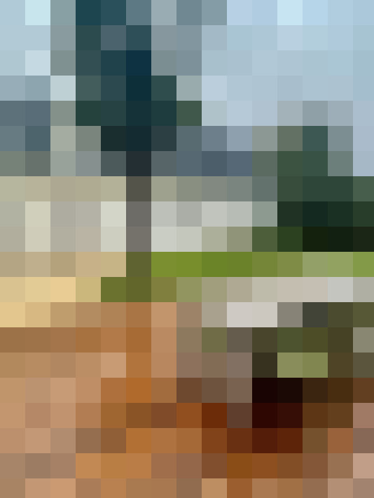  / #7