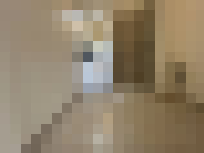  / #12