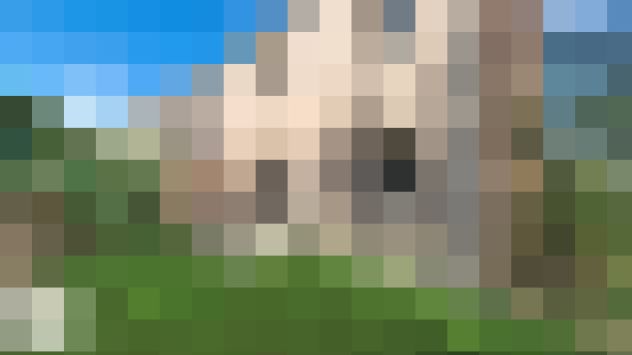  / #10