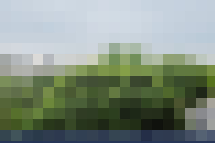  / #17