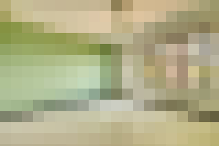  / #24