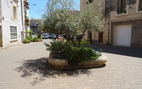 Appartement à Villeneuve-lès-Maguelone