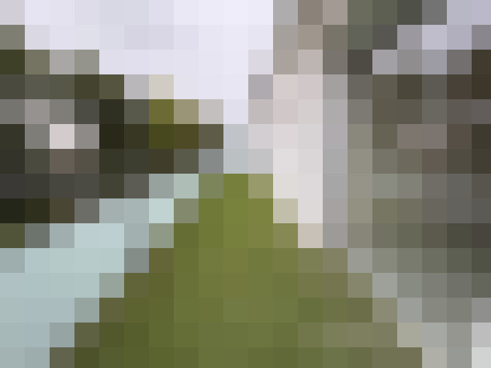  / #13
