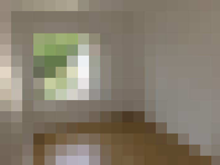  / #6
