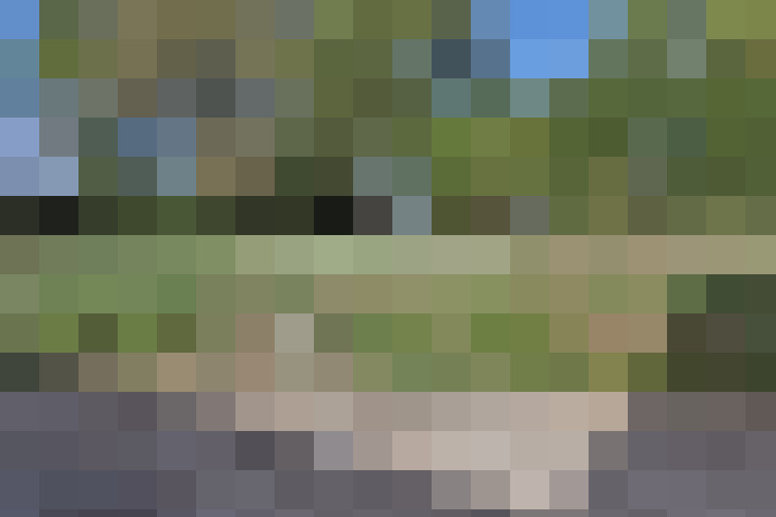  / #15