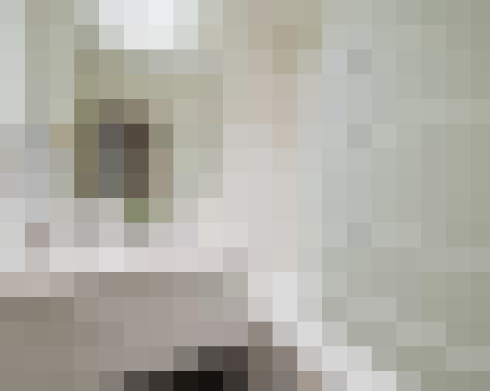  / #16